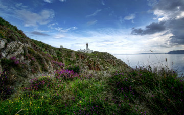 Картинка природа маяки море трава цветы маяк горизонт облака