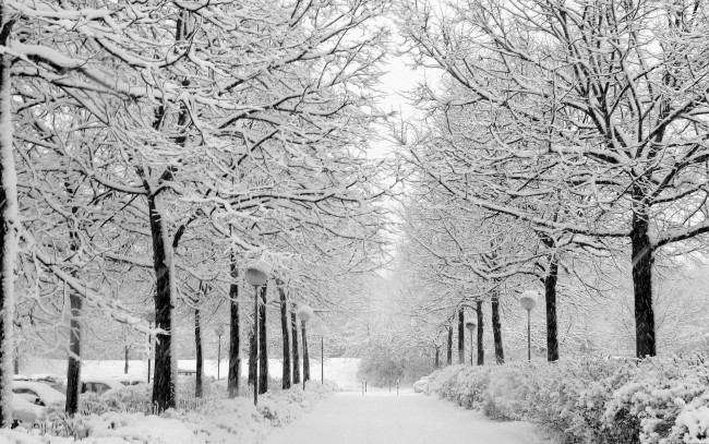 Обои картинки фото природа, зима, светильники, снег, алея, деревья