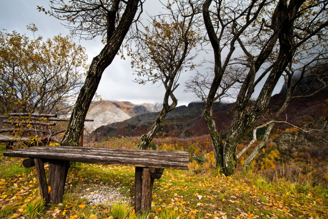 Обои картинки фото природа, пейзажи, осень, деревья, горы, скамейка, листва