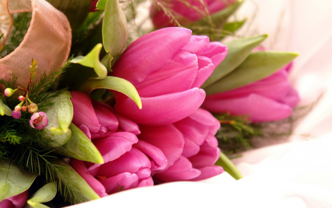 Обои картинки фото цветы, букеты,  композиции, тюльпаны, букет