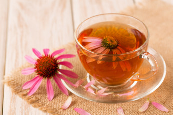 Картинка еда напитки +Чай лепестки цветы напиток чай
