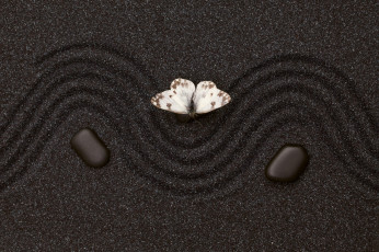 Картинка разное текстуры камень бабочка текстура узор песок