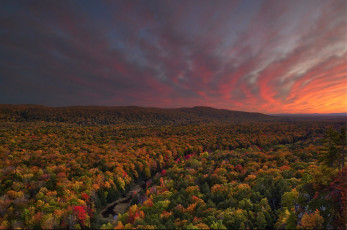 Картинка природа восходы закаты закат деревья осень лес