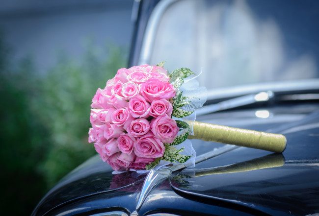 Обои картинки фото цветы, розы, машина, букет