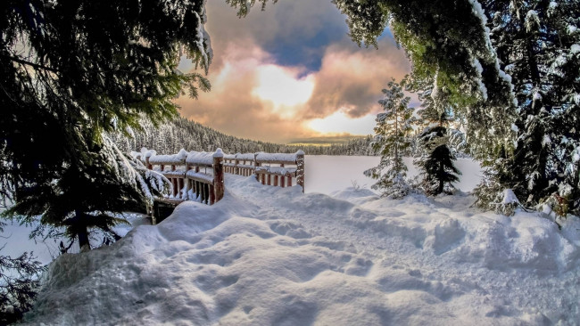 Обои картинки фото природа, зима, снег, мостик