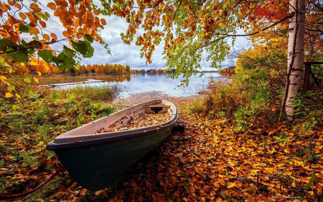 Обои картинки фото корабли, лодки,  шлюпки, озеро, осень, лодка, листопад, листья