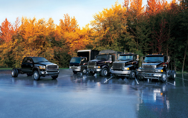 Обои картинки фото автомобили, sterling, грузовики, модели, площадка, деревья, осень
