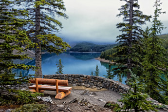 Картинка lake moraine banff national park природа реки озера пейзаж озеро деревья ели скамейка
