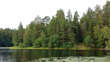 Картинка нижегородский край природа реки озера лес озеро