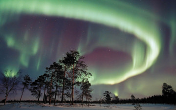 Картинка природа северное сияние ночь поле снег сосны