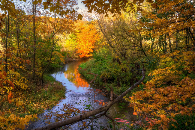 Обои картинки фото природа, реки, озера, осень, вода, деревья