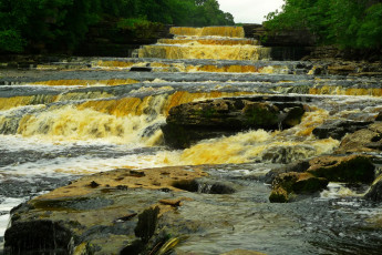 обоя aysgarth falls, природа, водопады, aysgarth, falls, united, kingdom, yorkshire, водопад