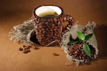 Картинка еда кофе +кофейные+зёрна листья зерна