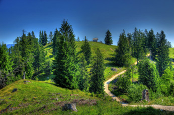Картинка природа пейзажи деревья трава бавария германия тропинка