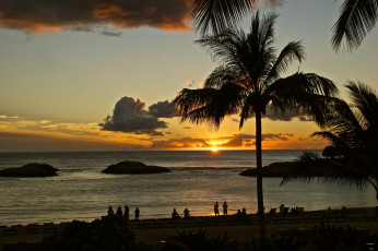 Картинка природа восходы закаты океан пляж пальма силуэты горизонт солнце