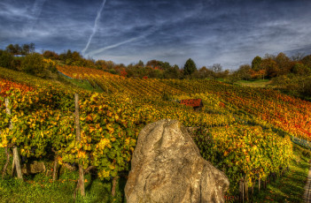 Картинка ремсхальден++германия природа поля виноградники германия