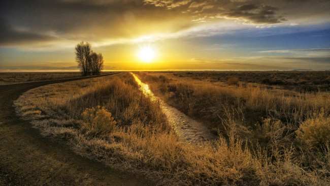 Обои картинки фото природа, восходы, закаты, поле, трава, дорога, солнце, свет