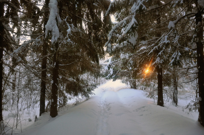 Обои картинки фото природа, зима, лес, дорога, деревья, снег