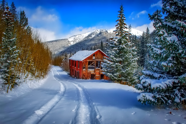 Обои картинки фото природа, зима, лес, горы, снег, дорога