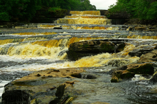 Обои картинки фото aysgarth falls, природа, водопады, aysgarth, falls, united, kingdom, yorkshire, водопад