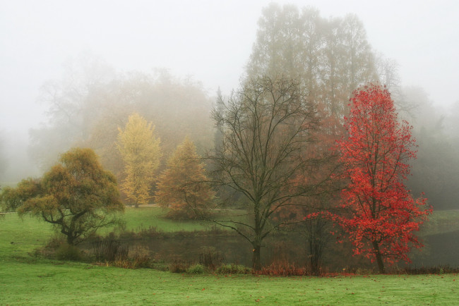 Обои картинки фото бельгия фландрия meise, природа, реки, озера, пейзаж, озеро, деревья, туман