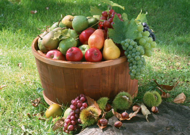 Обои картинки фото еда, фрукты,  ягоды, корзина