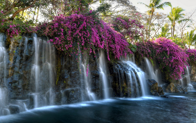 Обои картинки фото природа, водопады, пальмы, вода