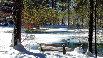 Картинка природа парк скамейка водоем снег
