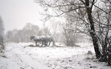 Картинка животные лошади снегопад снег зима кусты деревья