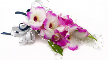 Картинка цветы орхидеи букет