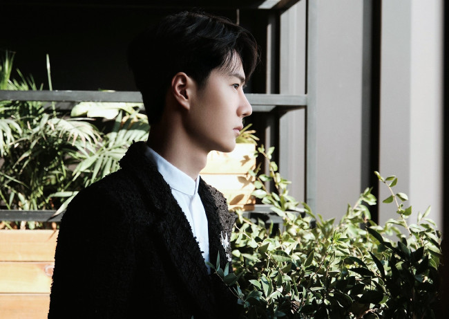 Обои картинки фото мужчины, wang yi bo, лицо, растения, окно