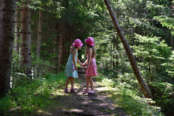 Картинка разное дети девочки лес