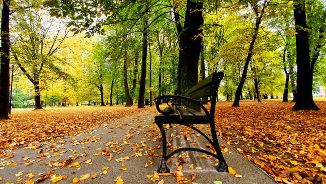 Обои картинки фото природа, парк, аллея, скамейка, осень, листопад, листья