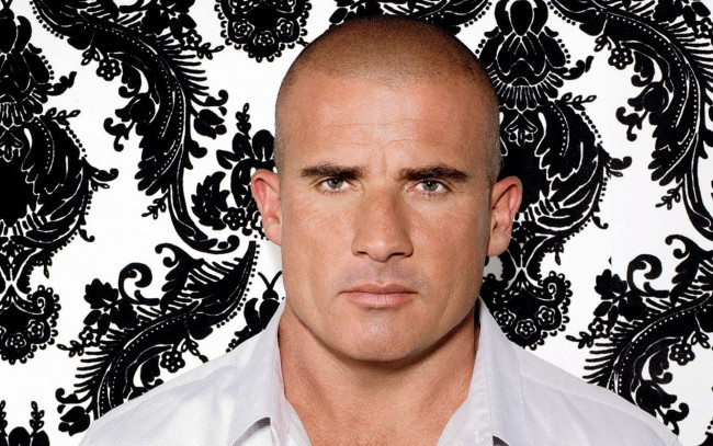 Обои картинки фото мужчины, dominic purcell, лицо, лысина, рубашка, узор