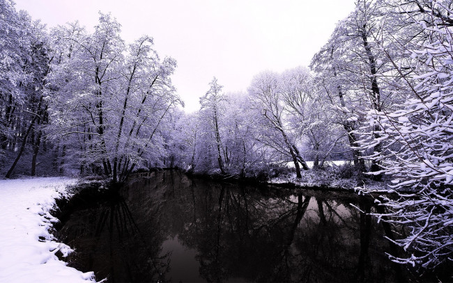 Обои картинки фото природа, реки, озера, деревья, снег, река