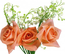 Картинка цветы букеты композиции ландыши розы