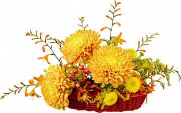 Картинка цветы букеты композиции хризантемы корзинка ягоды