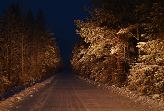 Картинка природа дороги лес ночь дорога