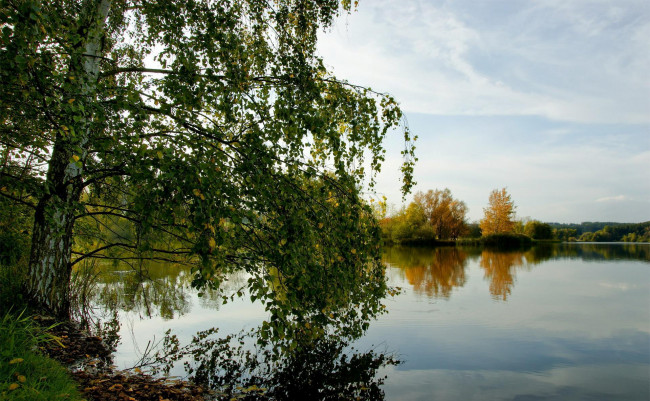 Обои картинки фото природа, реки, озера, береза, озеро, берег, осень, деоевья