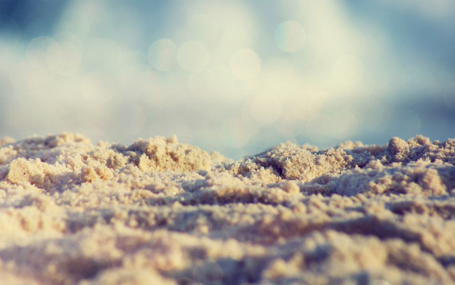 Обои картинки фото природа, макро, пляж, блики, песок