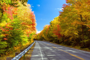 Картинка природа дороги осень шоссе деревья