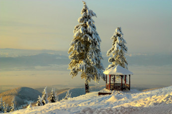 Картинка природа зима елка снег беседка