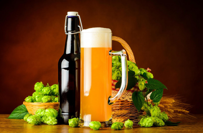 Обои картинки фото еда, напитки,  пиво, бокал, хмель, бутылка