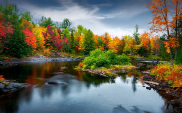 Картинка природа реки озера осень лес берег водоем краски осени