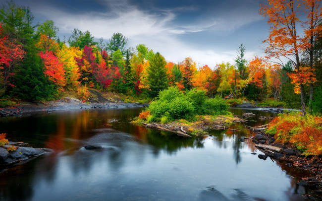 Обои картинки фото природа, реки, озера, осень, лес, берег, водоем, краски, осени