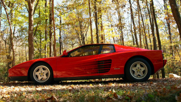 Картинка ferrari 512 testarossa автомобили феррари италия спортивный