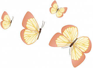 Картинка векторная+графика бабочки