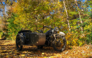 обоя мотоциклы, мотоциклы с коляской, листва
