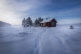 Картинка природа зима норвегия снег домик деревья