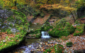 Картинка природа водопады осень мох камни лес водопад ручей